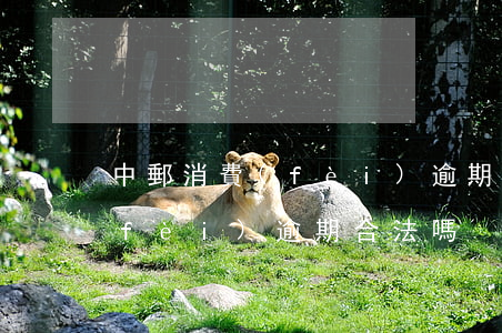 中郵消費(fèi)逾期合法嗎(中郵消費(fèi)逾期合法嗎)