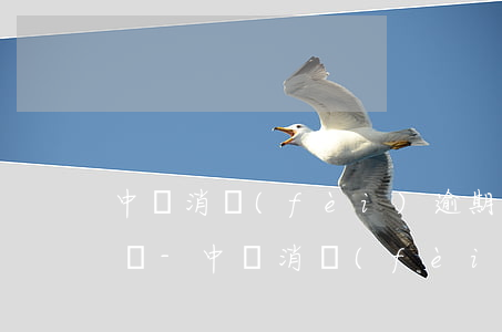中郵消費(fèi)逾期收的罰金是合理的嗎-中郵消費(fèi)逾期收的罰金是合理的嗎知乎