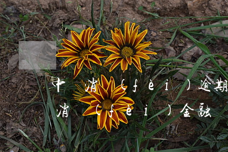 中郵消費(fèi)逾期有幾天寬限期(中郵消費(fèi)金融寬限期幾天)