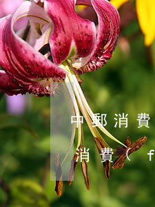 中郵消費(fèi)金融逾期怎么還款（中郵消費(fèi)金融逾期怎么還款）