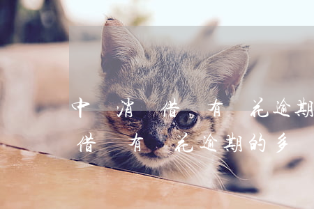 中郵消費借唄有錢花逾期的多嗎-中郵消費借唄有錢花逾期的多嗎怎么辦