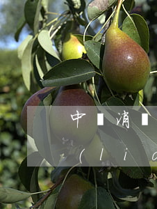 中郵消費循環(huán)貸逾期多久打聯(lián)系人-中郵消費循環(huán)貸逾期了幾天,還款后還能貸嗎?