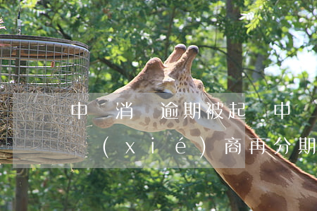 中郵消費逾期被起訴(中郵消費逾期被起訴有協(xié)商再分期撤訴的嗎)