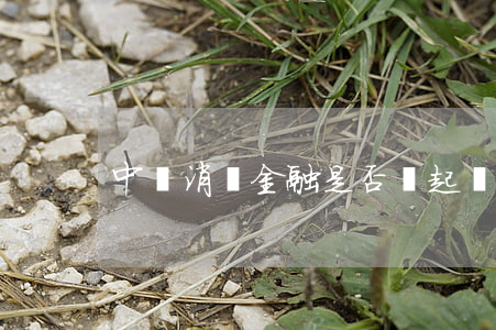 中郵消費金融是否會起訴逾期