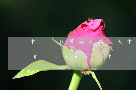 中郵貸款可以逾期幾天(中郵逾期一天,還款那里沒(méi)有寫(xiě)逾期了)