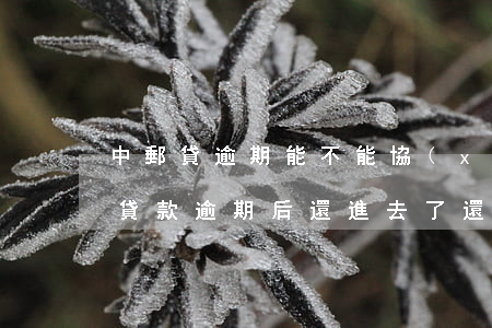 中郵貸逾期能不能協(xié)商還款(中郵貸款逾期后還進去了,還會怎么樣)