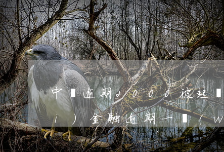 中郵逾期2000被起訴嗎(中郵消費(fèi)金融逾期一萬(wàn)多真的會(huì)被起訴嗎)