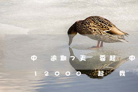 中郵逾期7天說要起訴(中郵消費郵你貸逾期12000會起訴我嗎)