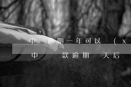 中郵逾期一年可以協(xié)商還款嗎-中郵貸款逾期幾天后還了就不可以借款