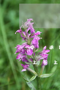 中郵逾期上不上征信(中郵網(wǎng)貸上不上征信)