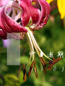 中郵逾期已經(jīng)還了額度凍結(jié)怎么辦-中郵逾期已經(jīng)還了額度凍結(jié)怎么辦呢