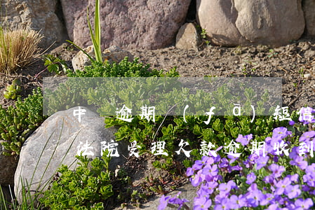 中郵逾期發(fā)短信說(shuō)在法院受理(欠款逾期收到郵政法院文件)