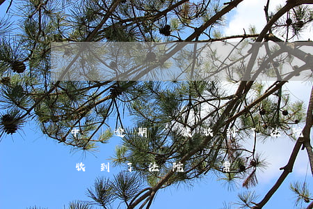 中郵逾期還款收到了法院傳票(中郵逾期還款收到了法院傳票)