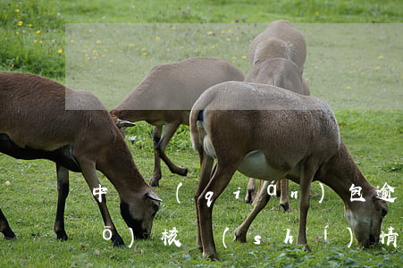 中郵錢(qián)包逾期一年,說(shuō)核實(shí)情況起訴呢（中郵錢(qián)包逾期被遭遇起訴）