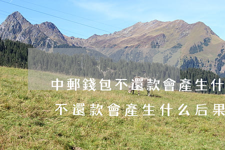 中郵錢包不還款會產生什么后果-中郵錢包不還款會產生什么后果