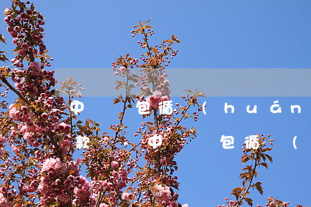 中郵錢包循環(huán)貸可以一次性還款嗎-中郵錢包循環(huán)貸可以一次性還款嗎安全嗎