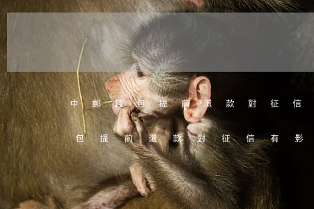 中郵錢包提前還款對征信有影響嗎-中郵錢包提前還款對征信有影響嗎知乎