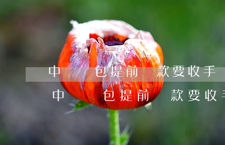 中郵錢包提前還款要收手續(xù)費嗎-中郵錢包提前還款要收手續(xù)費嗎多少錢
