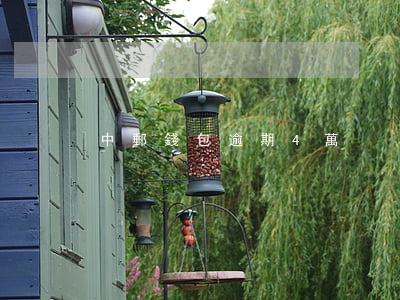 中郵錢包逾期4萬