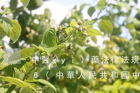 中醫(yī)藥法律法規(guī)2016(中華人民共和國中醫(yī)藥條例的條例內容)