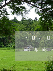 中銀e貸利息晚一天還算逾期嗎-中銀e貸利息晚一天還算逾期嗎