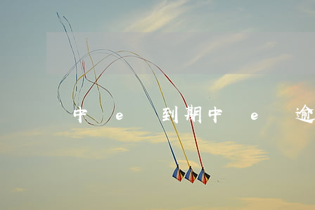 中銀e貸到期（中銀e貸逾期七天）