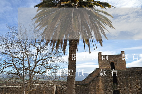 中銀e貸抵押提前還款有違約金嗎-中銀e貸抵押提前還款有違約金嗎多少錢(qián)