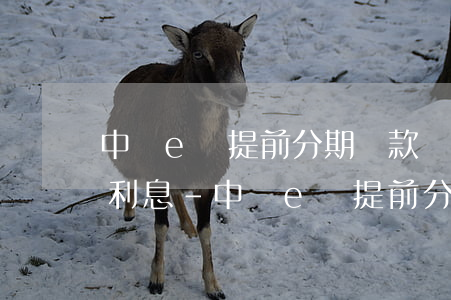 中銀e貸提前分期還款會產(chǎn)生利息-中銀e貸提前分期還款會產(chǎn)生利息嗎