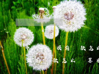 中銀e貸提前還款怎么計算利息-中銀e貸提前還款怎么計算利息的