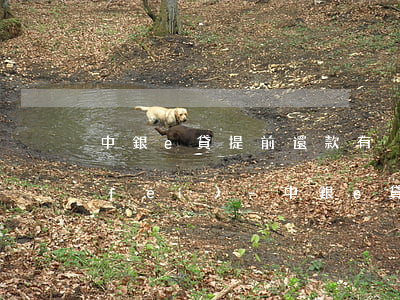 中銀e貸提前還款有沒有手續(xù)費(fèi)-中銀e貸提前還款有沒有手續(xù)費(fèi)啊