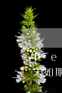 中銀e貸未如期還款多久打電話-中銀e貸未如期還款多久打電話通知