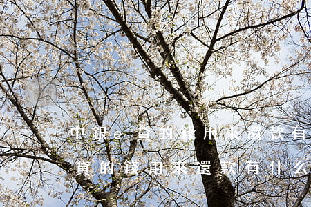 中銀e貸的錢用來還款有什么后果-中銀e貸的錢用來還款有什么后果嗎