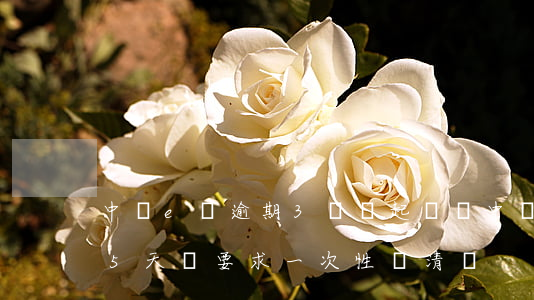 中銀e貸逾期3萬會起訴嗎(中銀e貸逾期15天會要求一次性還清嗎)