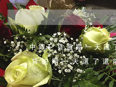 中銀e貸逾期一天還了還能借錢嗎-中銀e貸逾期一天還了還能借錢嗎