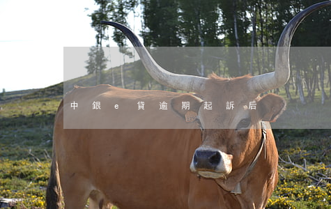 中銀e貸逾期起訴后