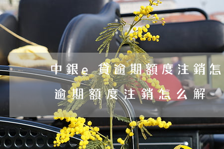 中銀e貸逾期額度注銷怎么解決-中銀e貸逾期額度注銷怎么解決的