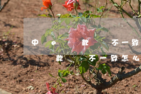 中銀e貸還款賬戶不一致怎么解決-中銀e貸還款賬戶不一致怎么解決呢
