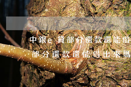 中銀e貸部分還款還能借出來嗎-中銀e貸部分還款還能借出來嗎安全嗎