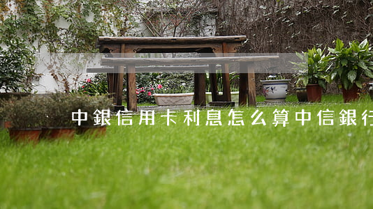 中銀信用卡利息怎么算 中信銀行信用卡