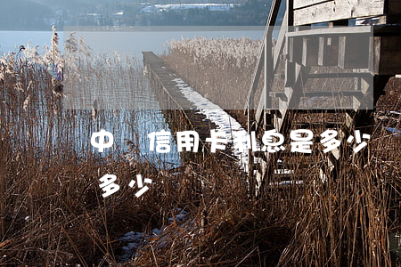 中銀信用卡利息是多少錢（中銀信用卡利息是多少）