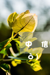 中銀信用卡可以逾期多久 信用卡超過(guò)幾天算逾期