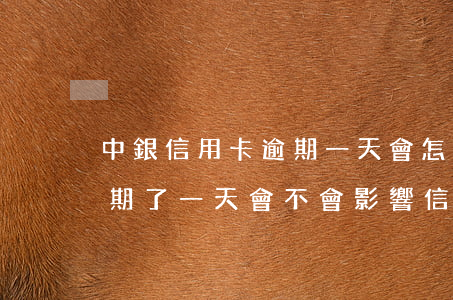 中銀信用卡逾期一天會怎么樣(信用卡還款逾期了一天,會不會影響信譽)
