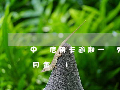 中銀信用卡逾期一萬(欠銀行信用卡逾期3個月 金額1萬)