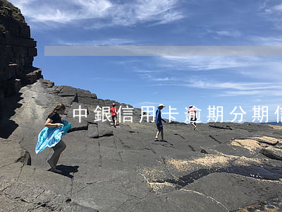 中銀信用卡逾期分期(信用卡 逾期 分期)