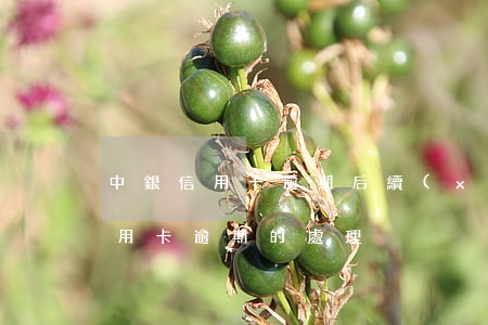 中銀信用卡逾期后續(xù)(中國銀行對信用卡逾期的處理)