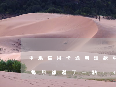 中銀信用卡逾期還款(中信銀行信用卡逾期了每期都還了一點(diǎn))
