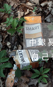 中銀易貸還款逾期后果(恒易貸逾期三天會給自己帶來什么影響)