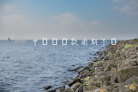 中銀樂貸款逾期不還