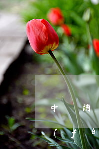 中銀消費(fèi)說信用卡逾期(中銀消費(fèi)逾期兩年現(xiàn)在怎么把逾期的錢還了)