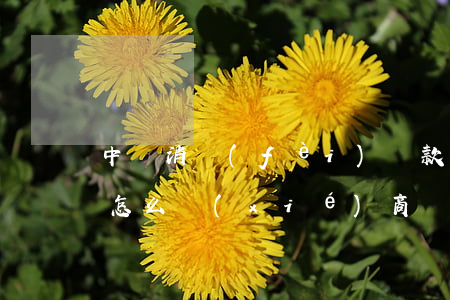 中銀消費(fèi)貸款無(wú)力償還怎么協(xié)商減免?-中銀消費(fèi)貸能協(xié)商還款么